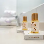 Ours Blanc - Centre 3* Toulouse