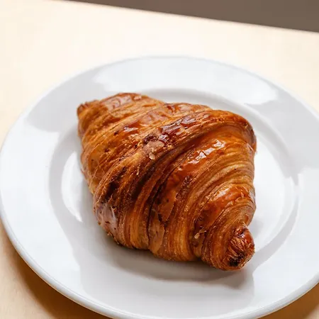 Ours Blanc - Centre 3* Toulouse