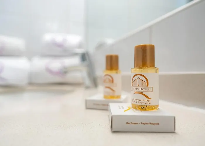 Hotel Ours Blanc - Centre 3*