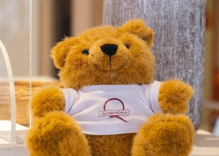 Ours Blanc - Centre Hotel Toulouse