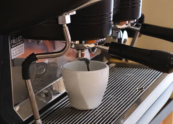 Ours Blanc - Centre Hotel