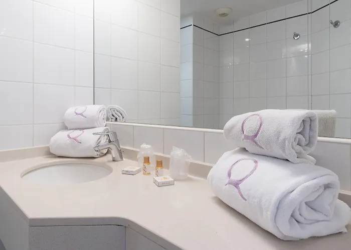 Ours Blanc - Centre Toulouse