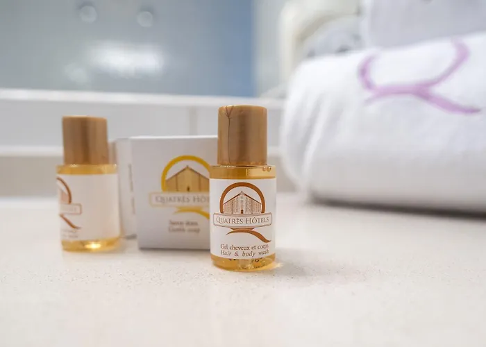 Ours Blanc - Centre Hotel 3*