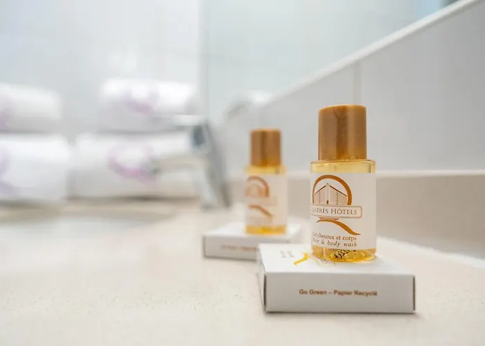 Ours Blanc - Centre 3* 圖盧茲