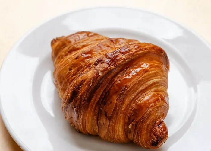 Ours Blanc - Centre 3* Toulouse