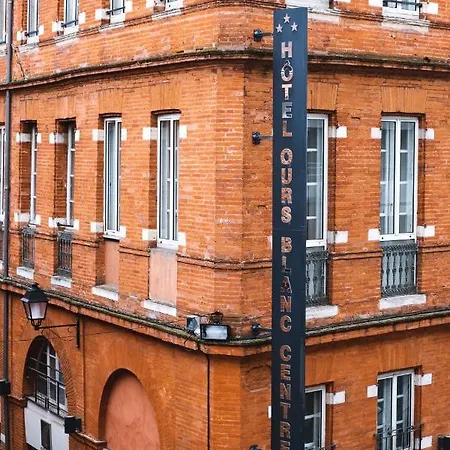 Ours Blanc - Centre