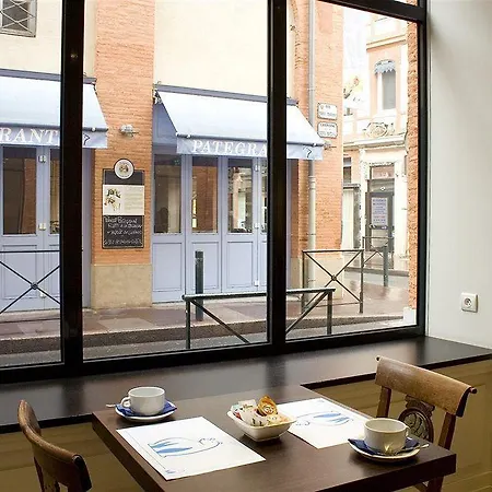 Ours Blanc - Centre