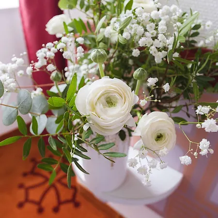 فندق Ours Blanc - Centre